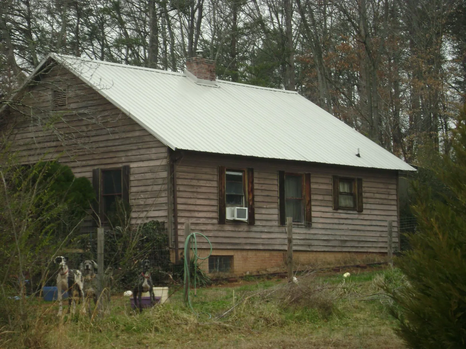 White metal roof on an old wood sided farmhouse, from a Metal Roof Installation job in Cathlamet